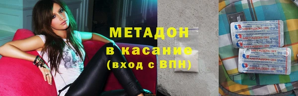 хмурый Аркадак