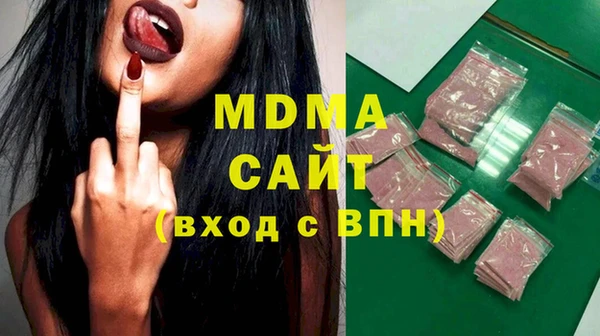 хмурый Аркадак