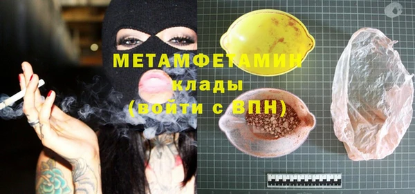 хмурый Аркадак